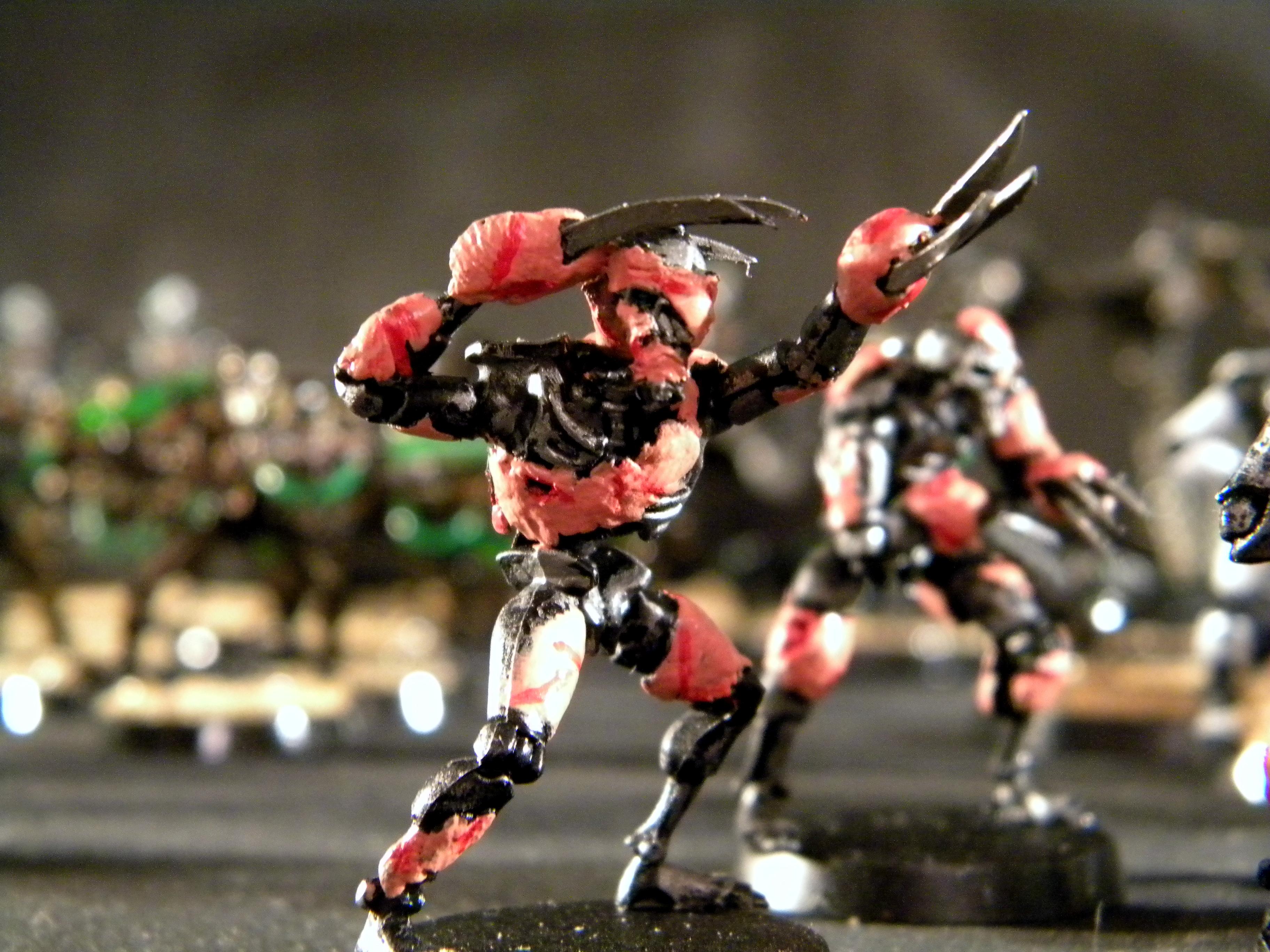 flayed ones price
